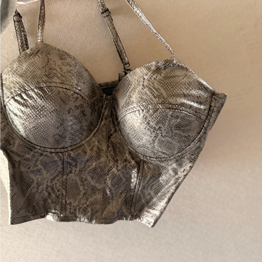 Silver Snakeskin Bustier Top